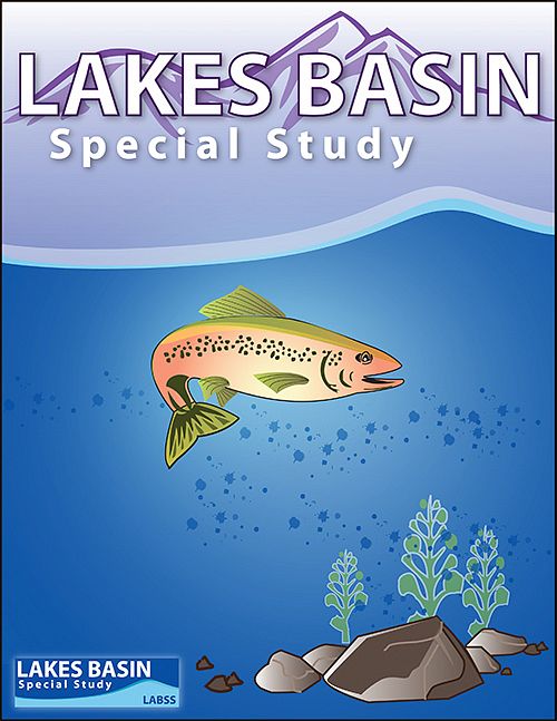 LABSS Executive Summary