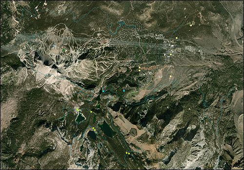 The Key to Finding Poo Fairy Stations