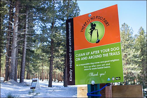 MLTS Poo Fairy Program - Web Gallery