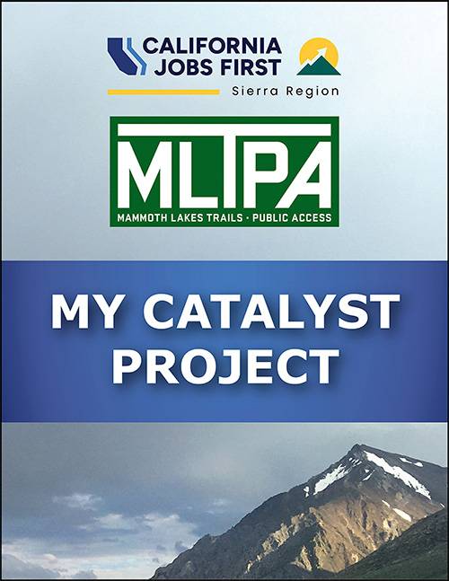 My Catalyst Project