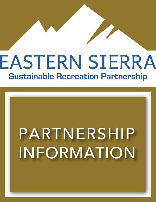 ESSRP Project Recommendation for BIRPI